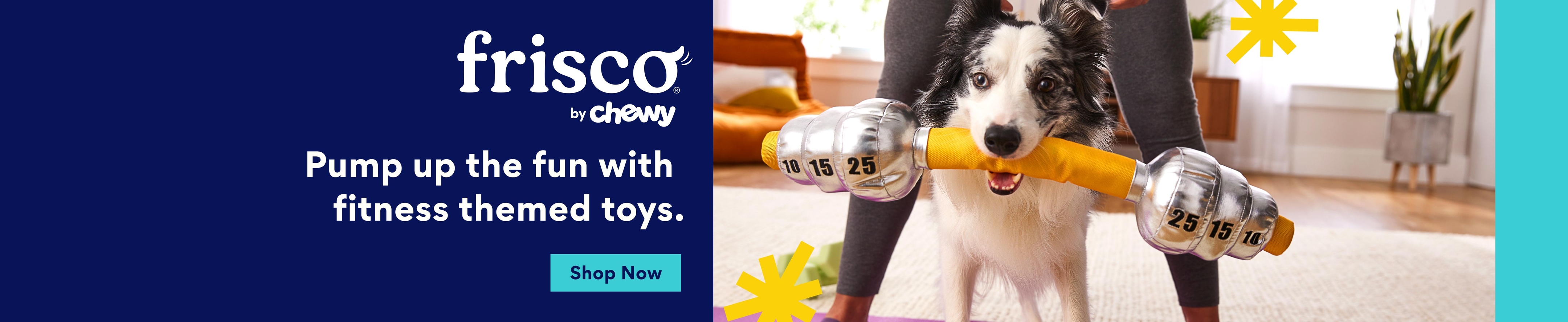 Frisco by chewy. Pump up the fun with fitness themed toys. Shop now